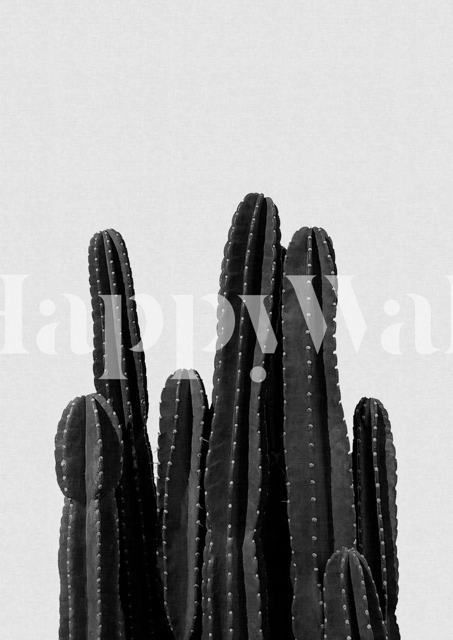 Cactus silhouettes in black and white wallpaper.