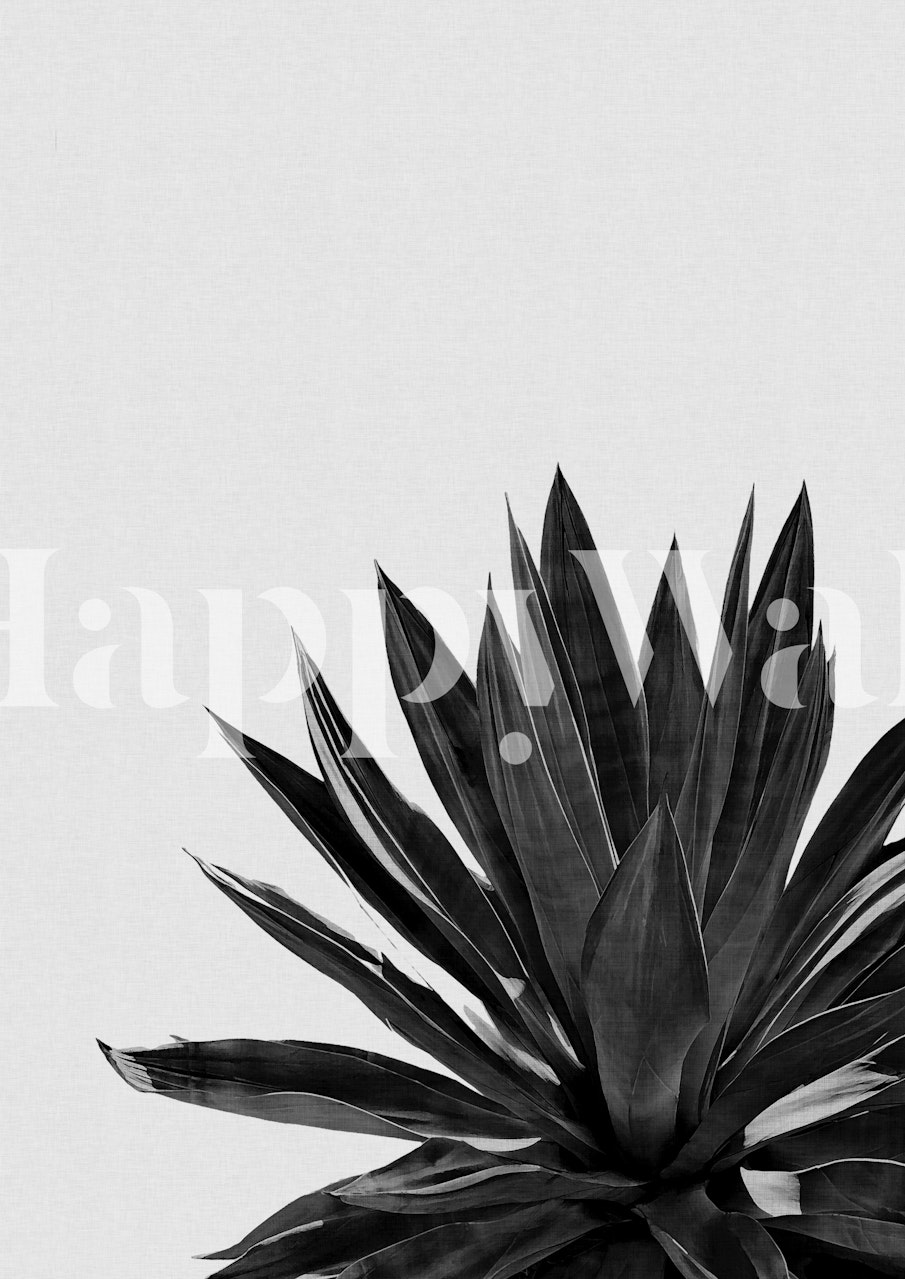 Black and white agave cactus wallpaper design