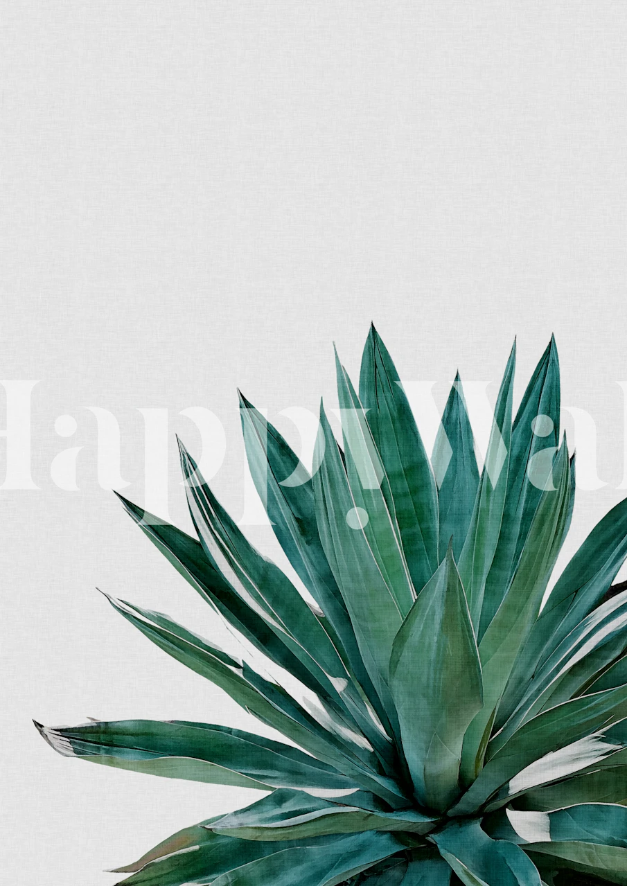 Papier peint Agave Cactus dans une pièce