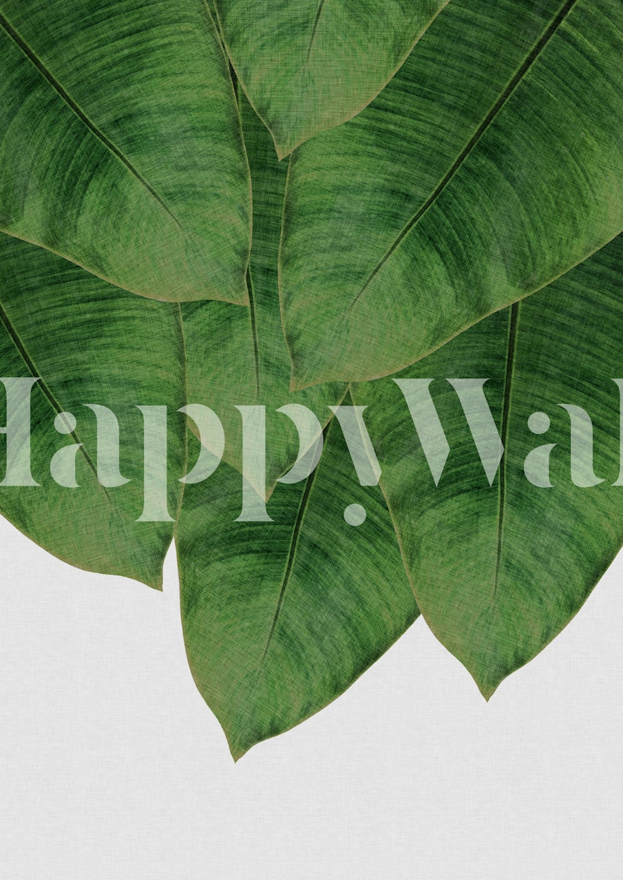 Green tropical banana leaf pattern wallpaper