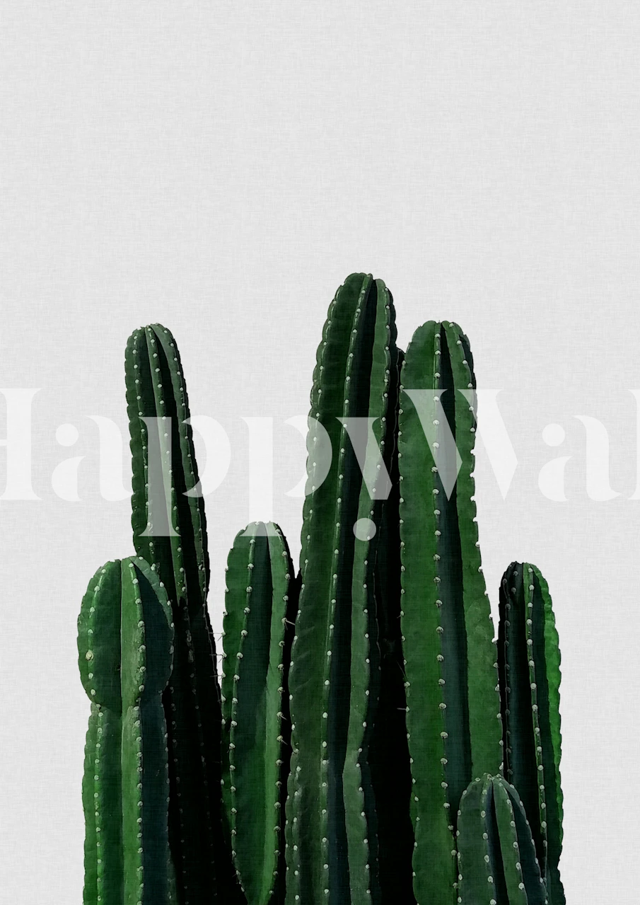 Cactus wallpaper in a room setting