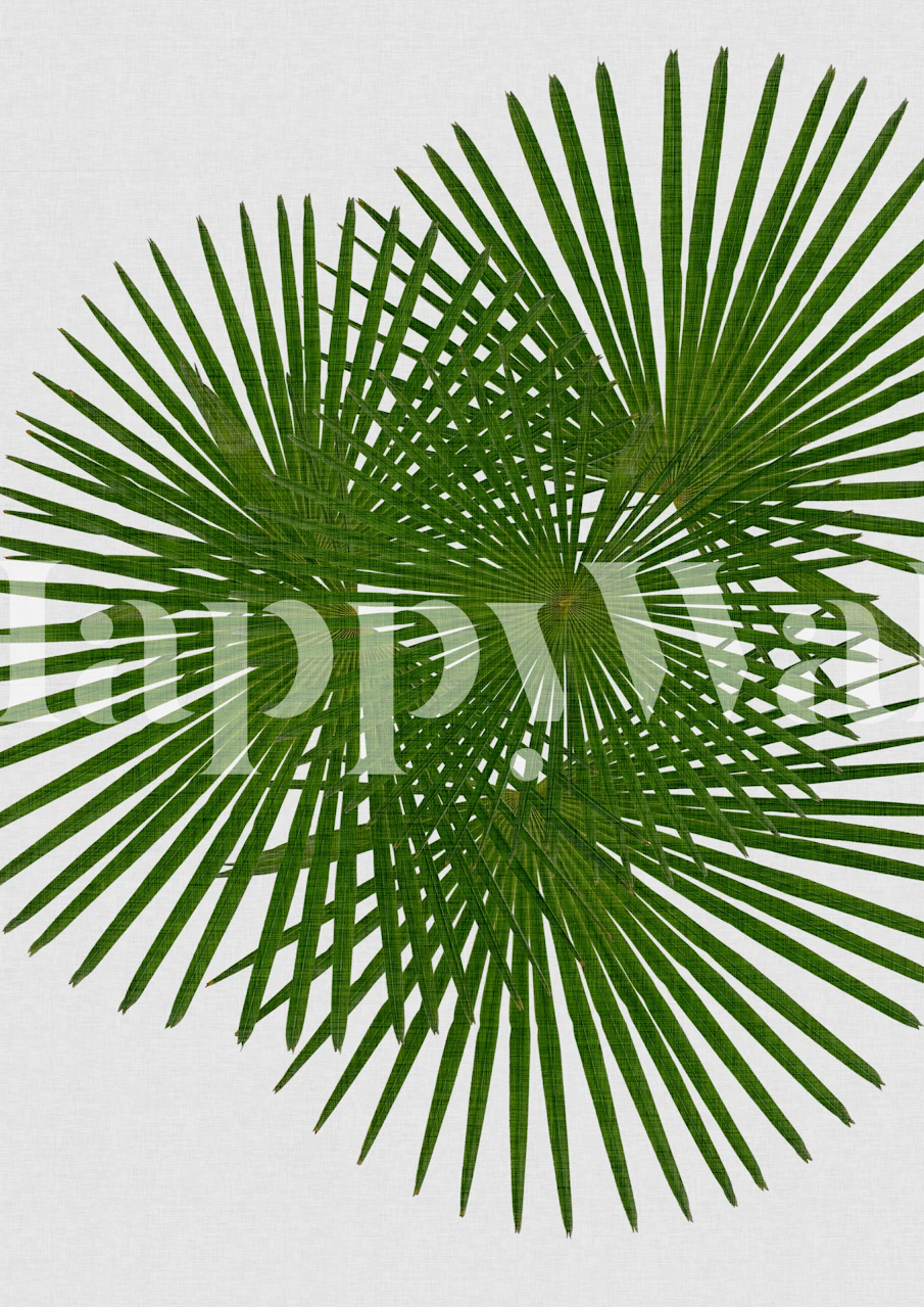 Fan palm -tapetti esitelty huoneessa