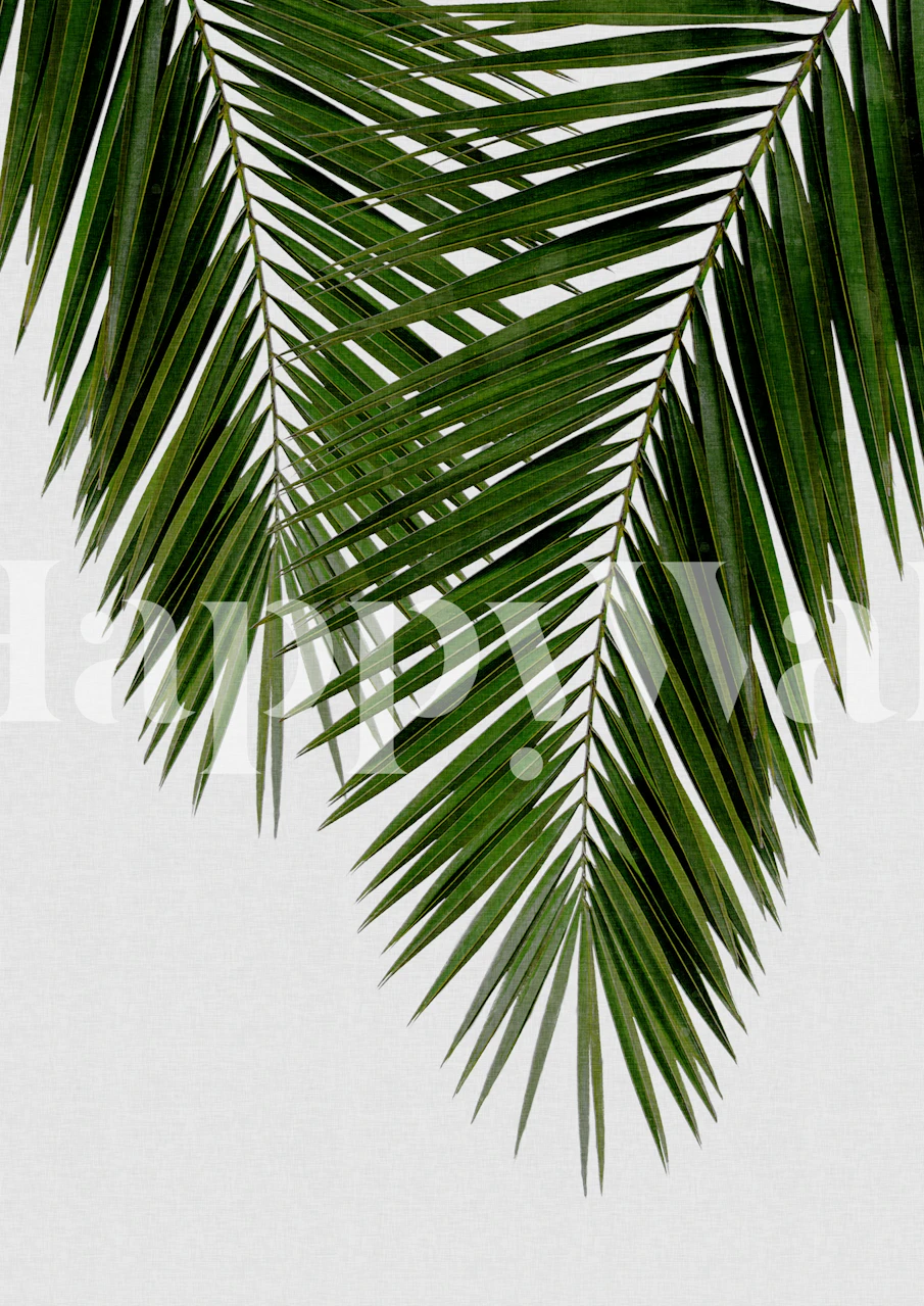 Palm Leaf II wallpaper in a room setting