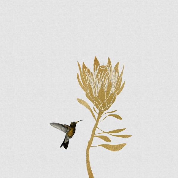 Hummingbird & Flower I Mural