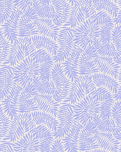 Modello