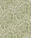 Moss Green Ferns