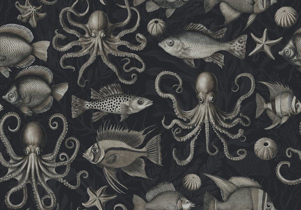 Mystic Deep Sea Underwaterworld Creatures