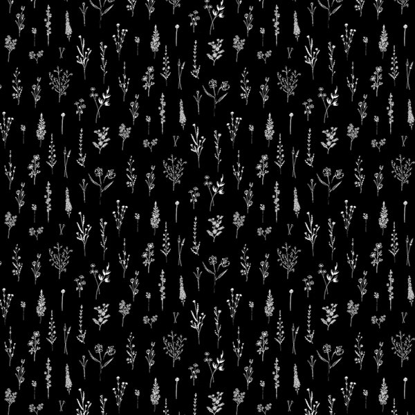 Little Black Wildflowers