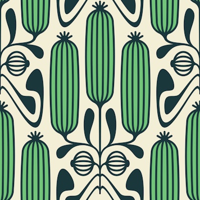 Patrón
