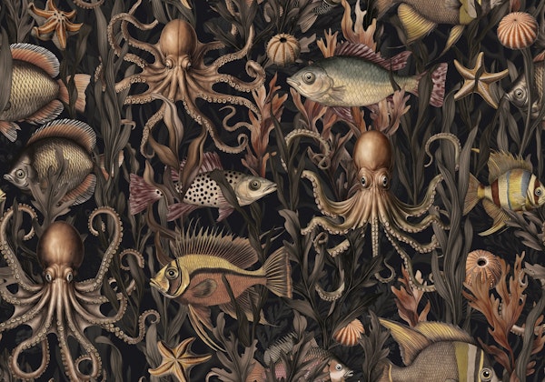Mystic Deep Sea Underwater World Creatures