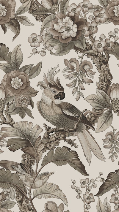 Pattern