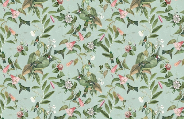 Passiflora garden and Hummingbirds - mint