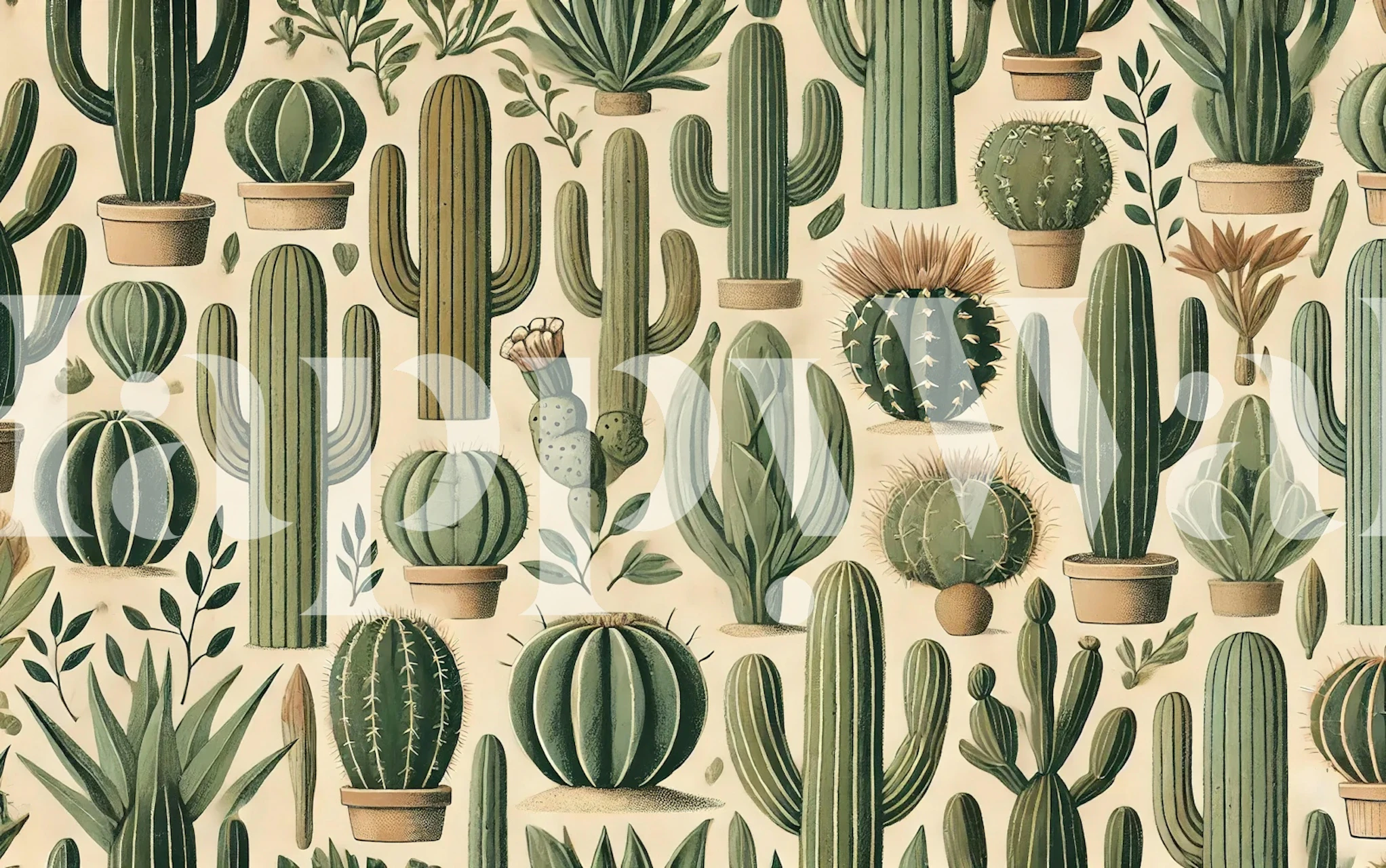 Papier peint Desert Cactus Rhythm dans une pièce