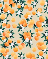 Orange Twist Flower Vibes 9 tapete