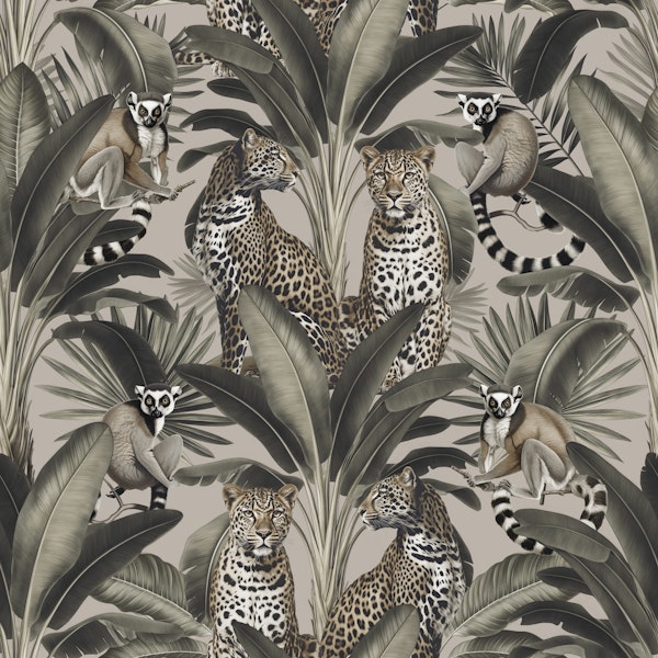 Leopard And Lemur Exotic Wildlife