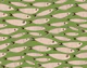 Sardines Swimming Vintage Fish - MidMod Green