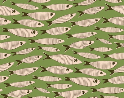 Pattern