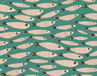 Sardines Swimming Vintage Fish MidMod Teal tapetit