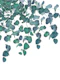 Eucalyptus Delight 1