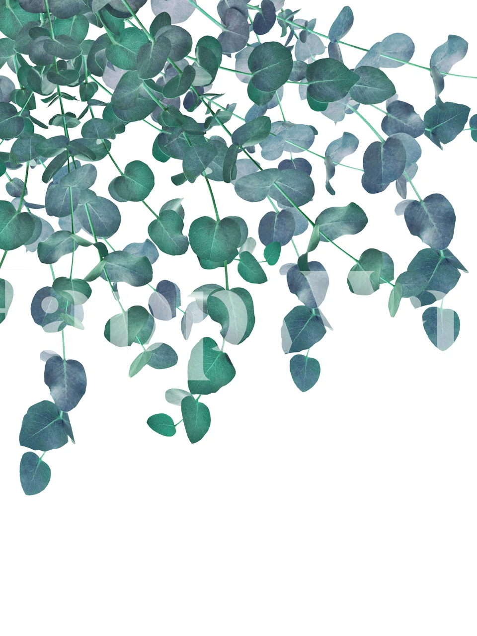 Mural de parede com folhas de eucalipto criando um cenário sereno