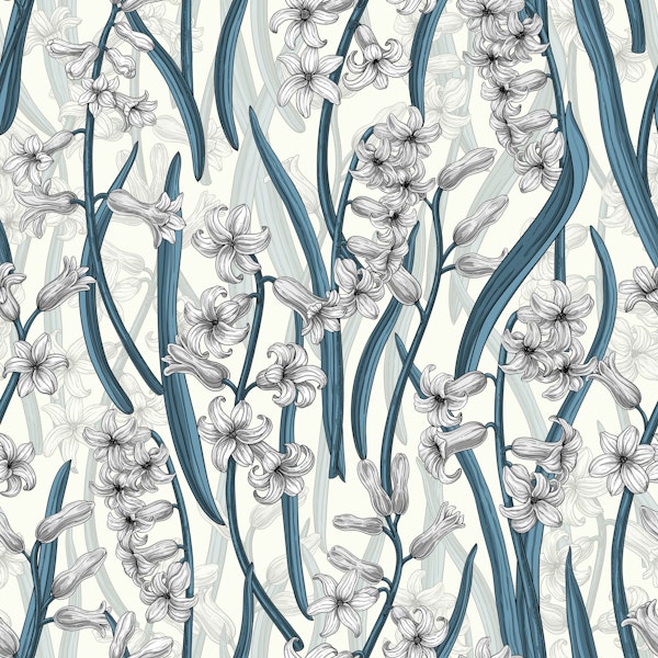 White Hyacinth flowers on white