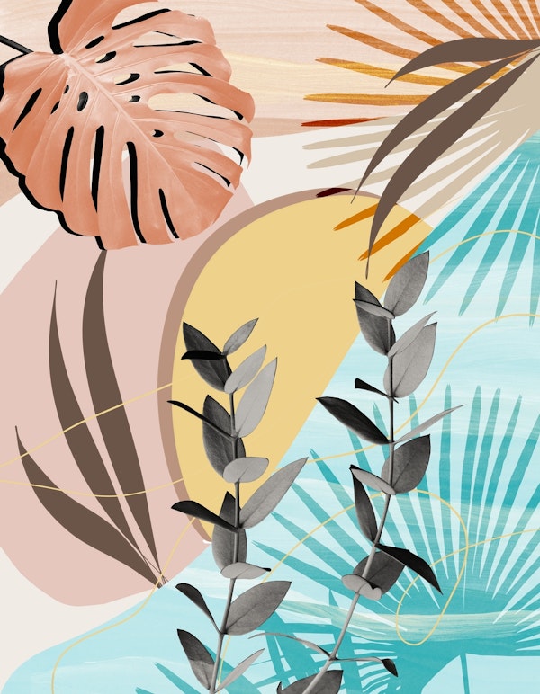 Eucalyptus Tropical Summer 1