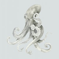 Octopus in Gray Tones tapety