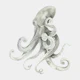 Octopus with Flowing Tentacles