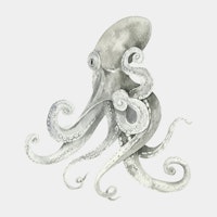 Octopus with Flowing Tentacles behang