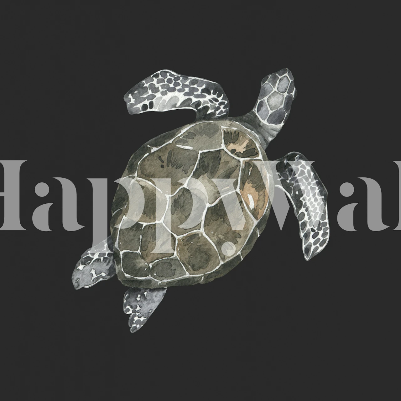 Turtle illustration on a dark background wallpaper