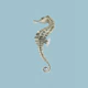 Seahorse