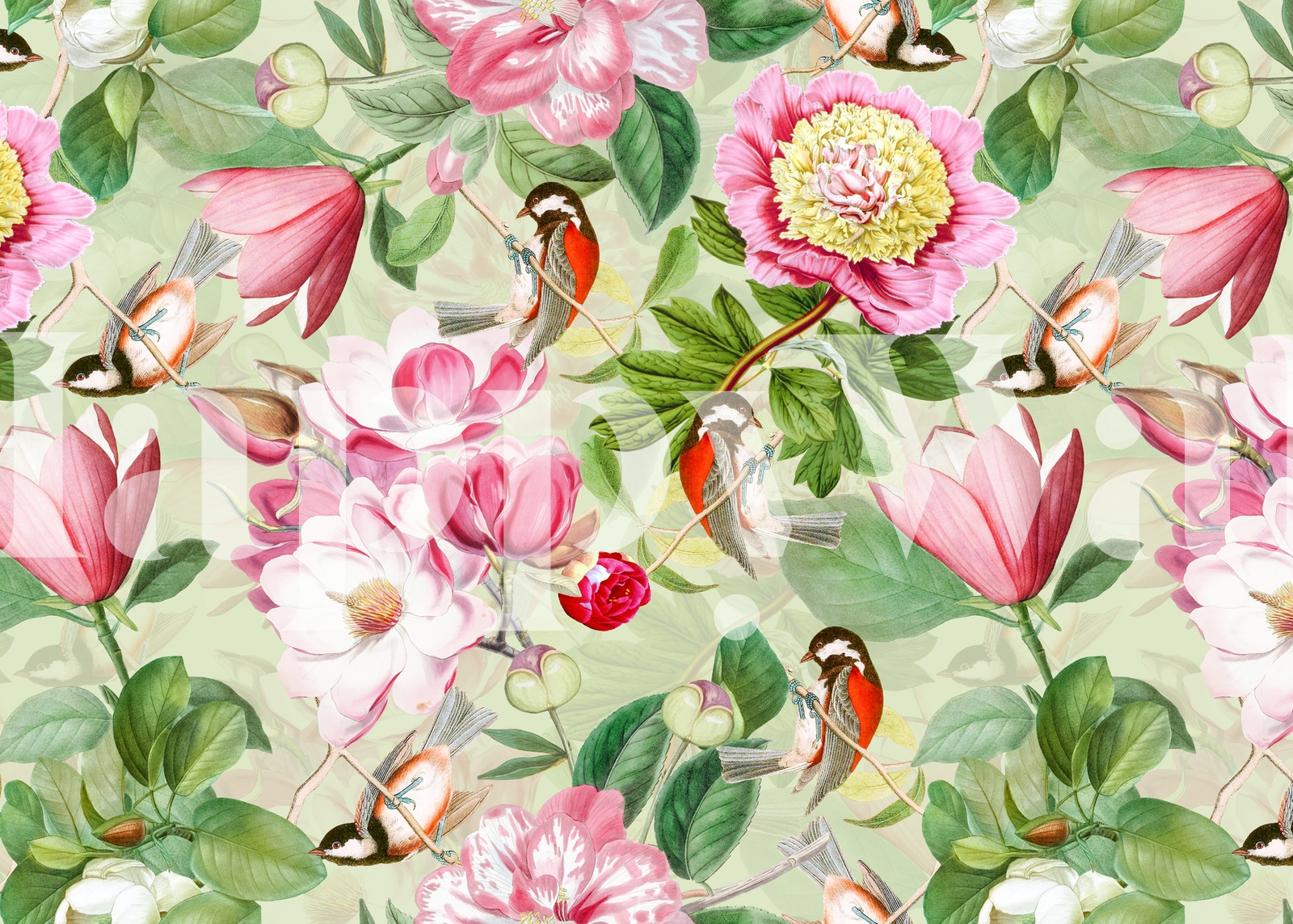 Vintage flowers and songbirds wallpaper - Happywall