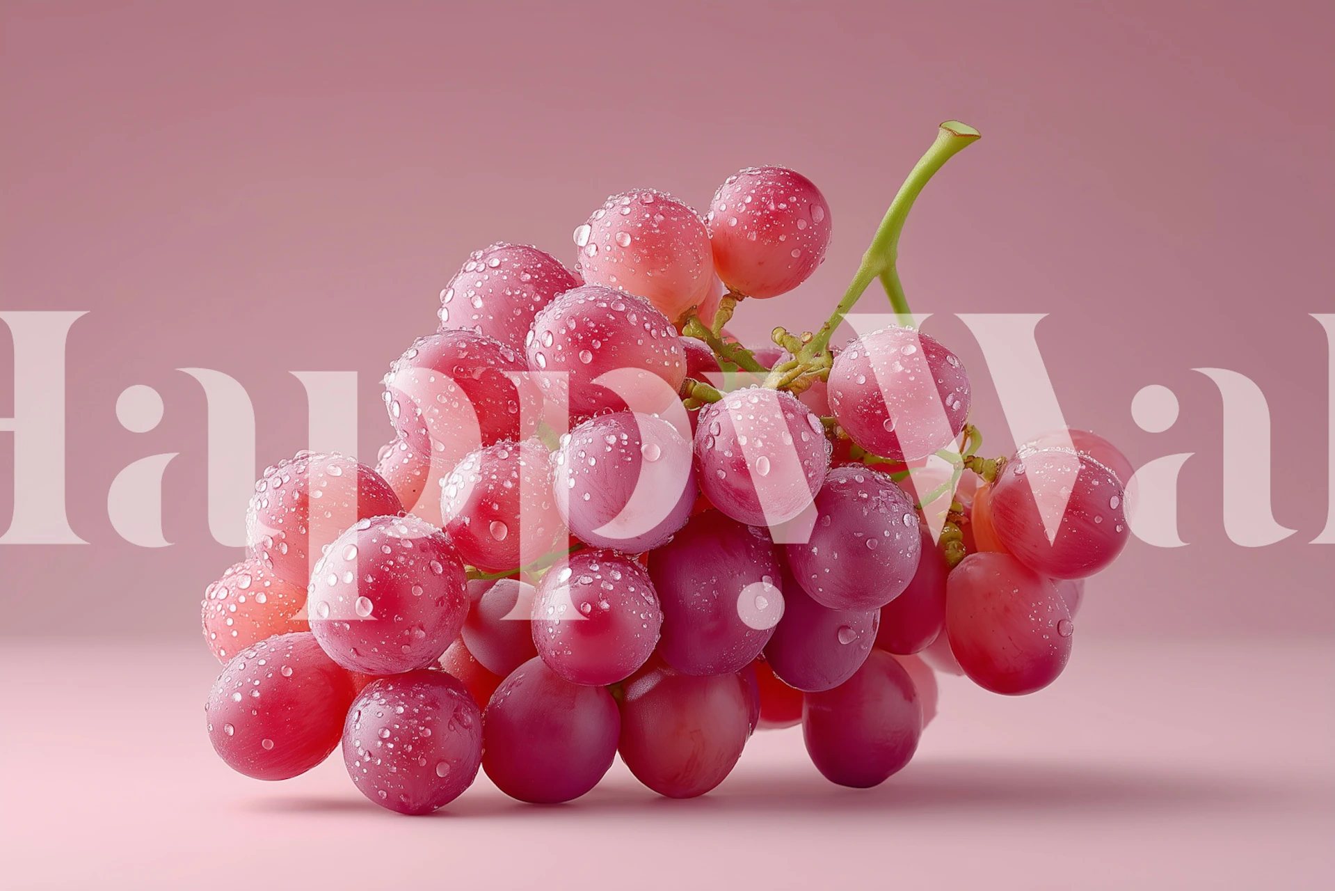 Bunch of dewy pink grapes with drops on pink background wallpaper