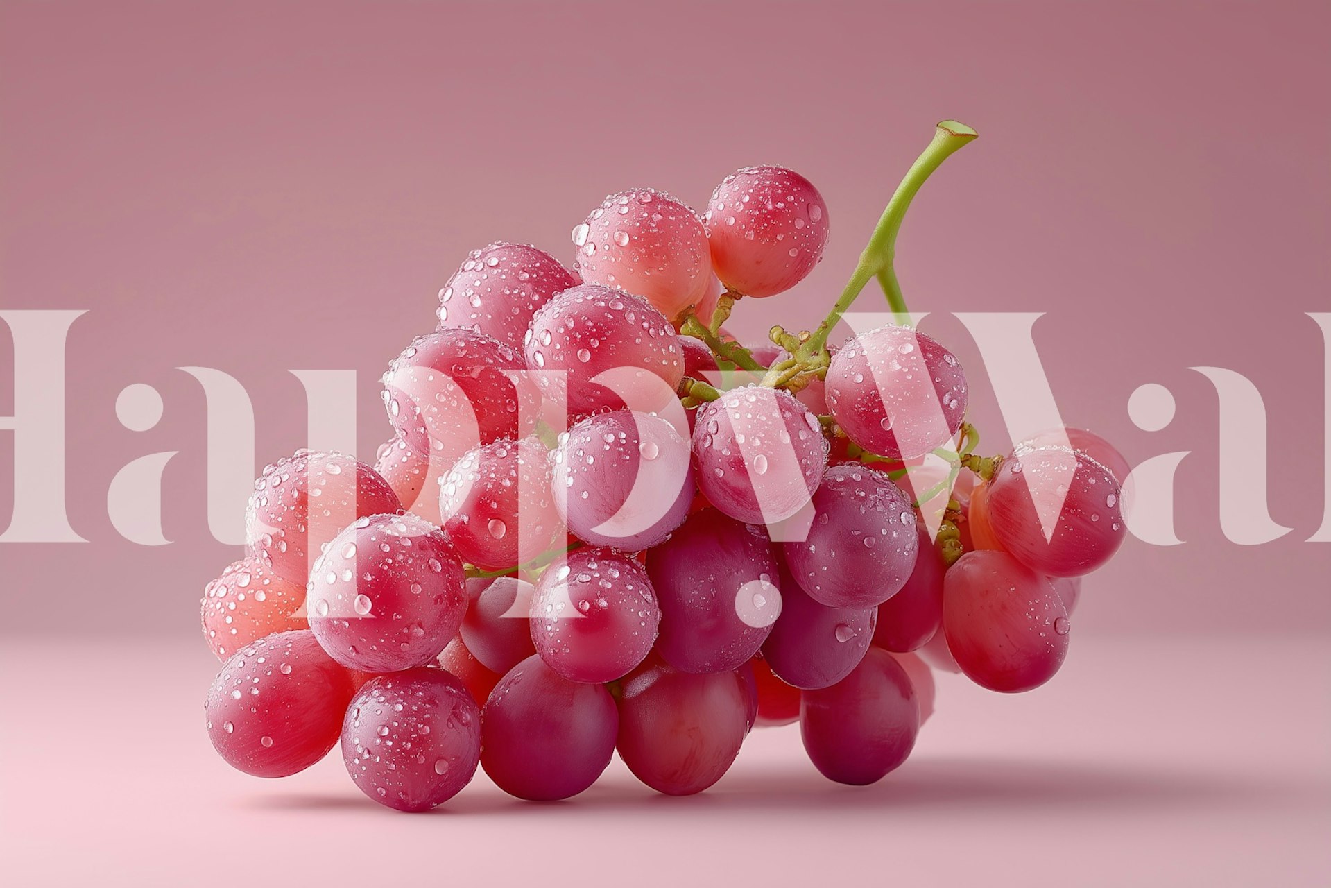 Bunch of dewy pink grapes with drops on pink background wallpaper