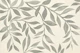 Elegant Calm Leaf Expressions