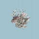 Lionfish in Soft Blue Waters