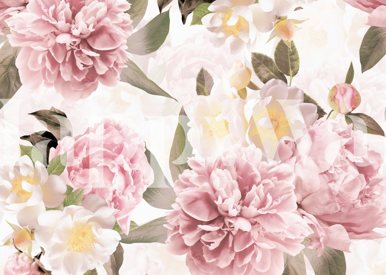 Summer Peonies and Roses Wallpaper | Happywall