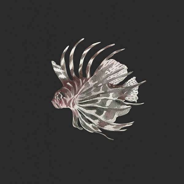 Deep Sea Lionfish Moment