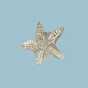 Starfish in Calm Waters