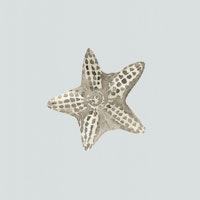 Coastal Starfish Moment tapety