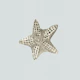 Coastal Starfish Moment