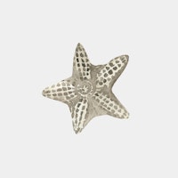 Gentle Starfish on Light Gray tapety