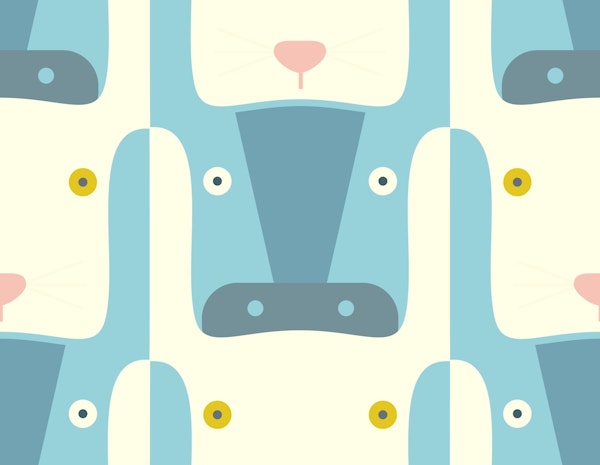 Rabbit in Wonderland