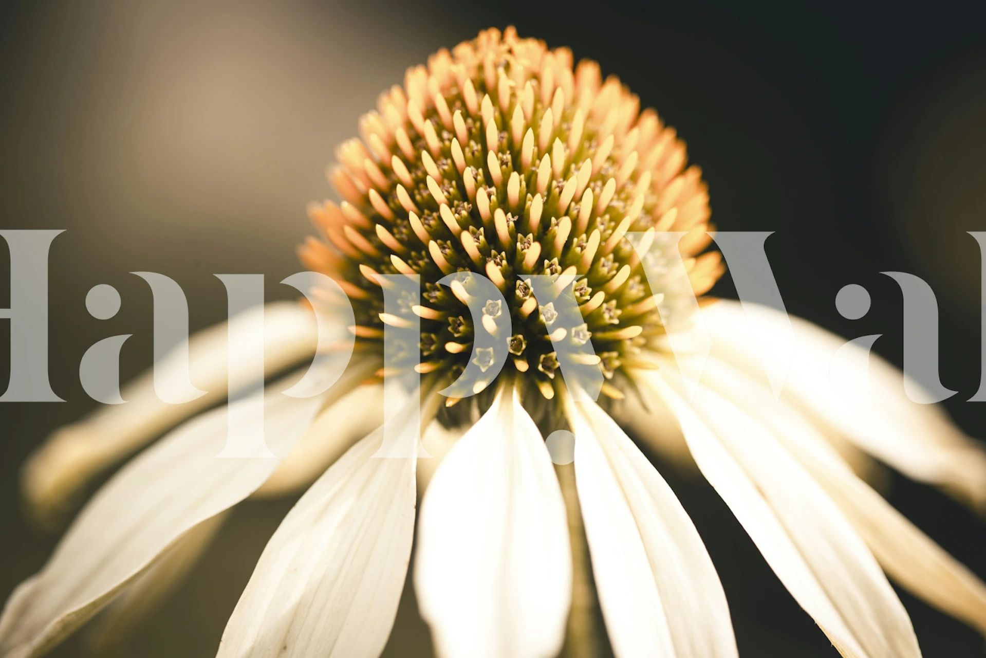 Ethereal Blossom Harmony floral wallpaper in a room