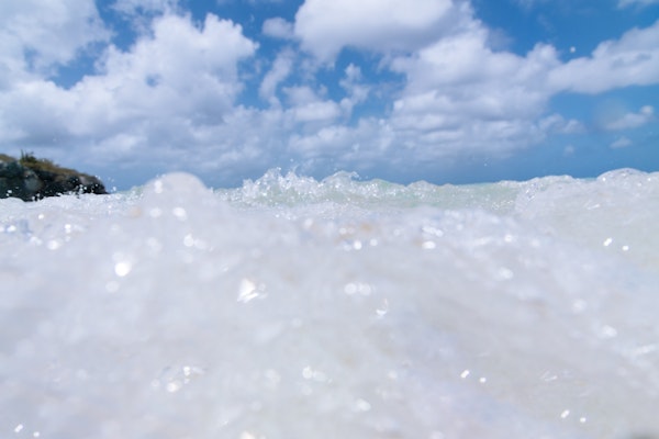 Dive into the Caribbean Sea 1