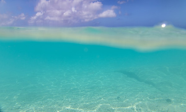 Underwater Caribbean Sea Dream 1