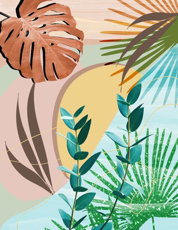 Eucalyptus Tropical Summer 2