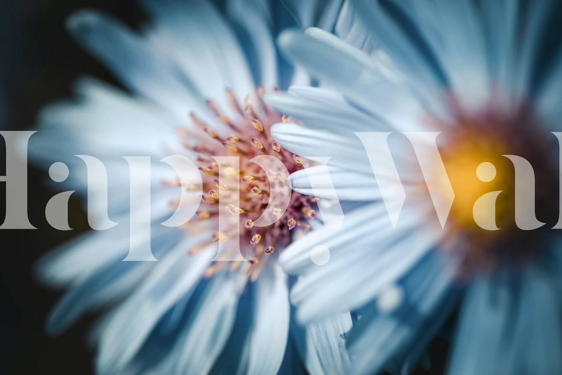 Serene Blue Blossoms floral wallpaper in a room
