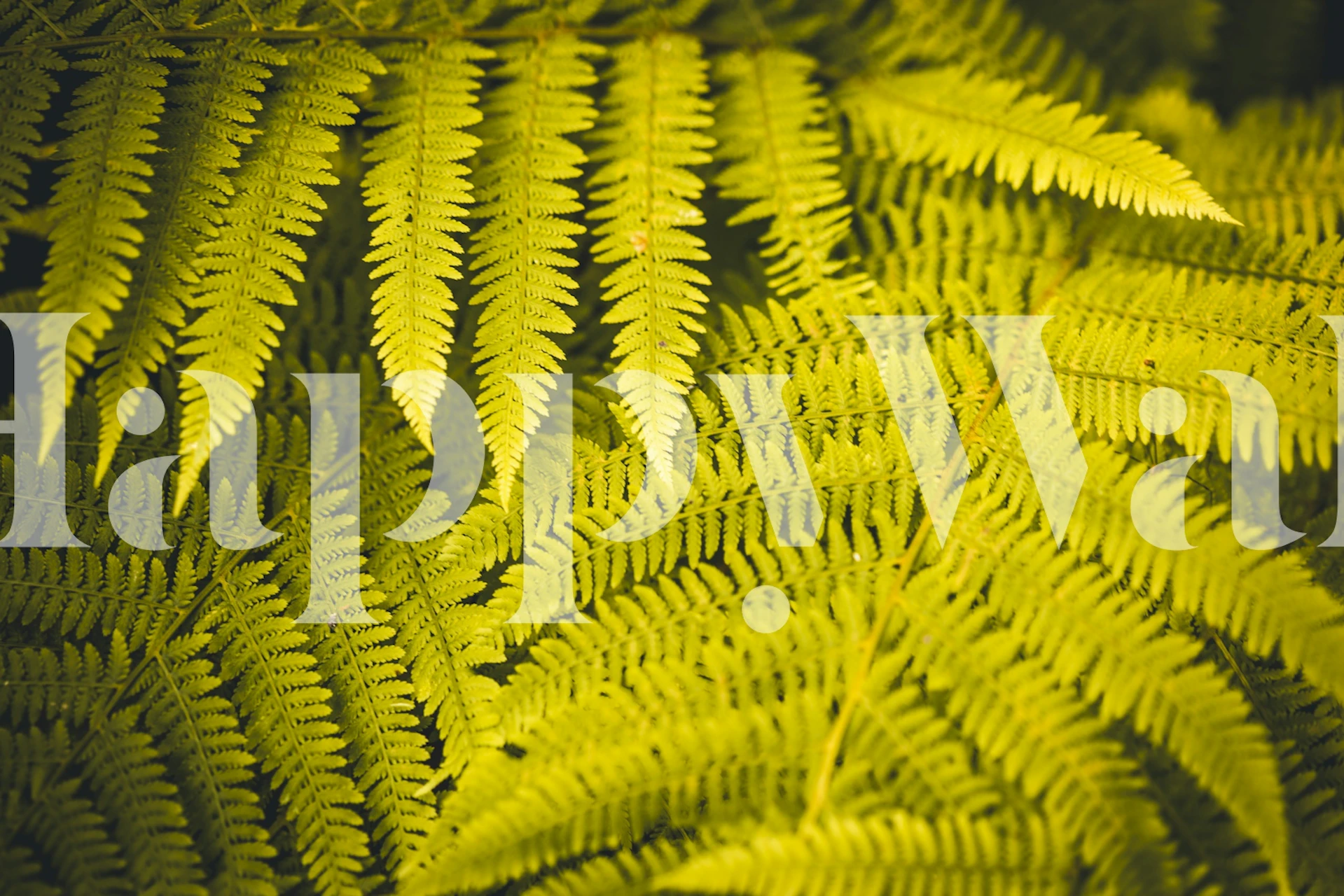 Golden fern foliage pattern in vibrant green wallpaper