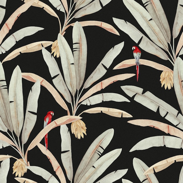 Macaws and Banana Trees